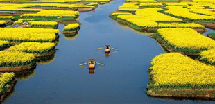 这批作家的地域文学创作得到了文学界的充分认可,一个充分体现文学地理特点的文学流派—“里下河文学流派”逐渐形成。