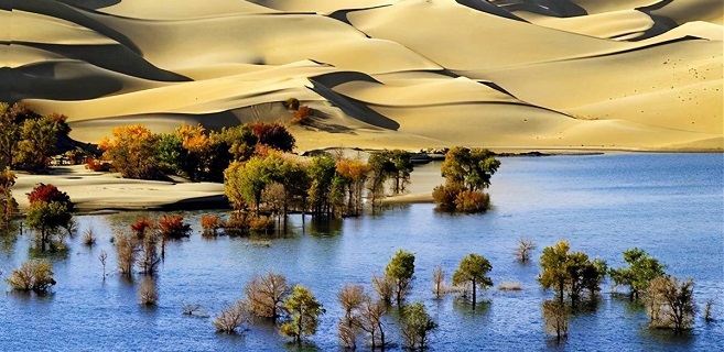 愿每个灵魂都是翩翩起舞的