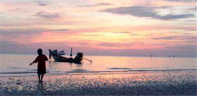 “盐言故事”背后的知乎网文