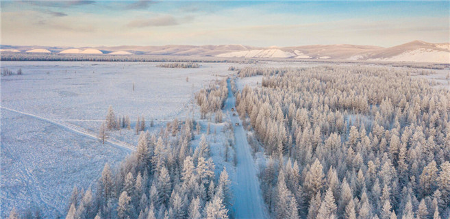 纪念曲波百年诞辰发言选登