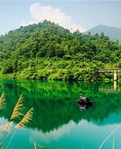 朱长忠:圆梦绿水青山